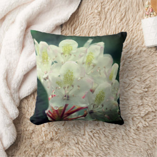 Cojín Decorativo Flor de Azalea Blanca con Gotitas de Lluvia