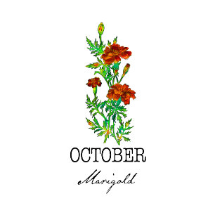Cojín Decorativo Flor de Birth Month Octubre Marigold