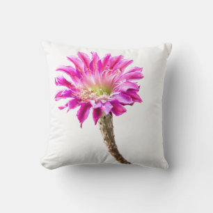 Cojín Decorativo Flor de cactus rosada en flor