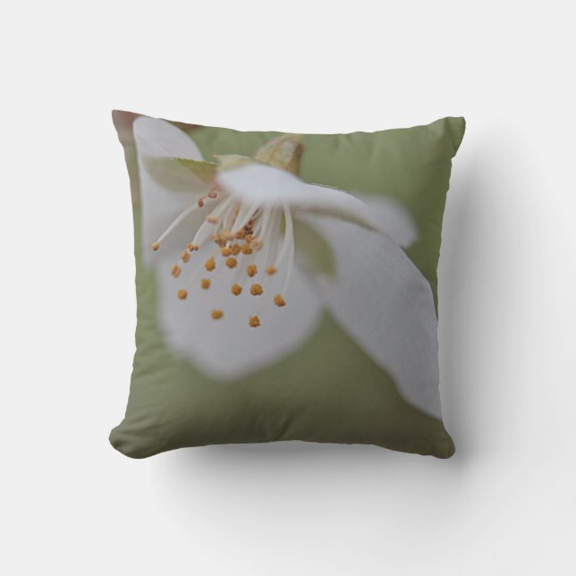Cojín Decorativo Flor de cerezo blanca (Anverso)