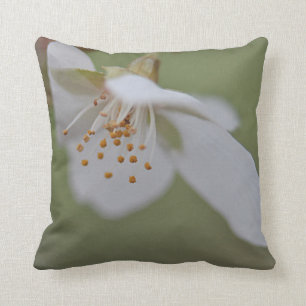 Cojín Decorativo Flor de cerezo blanca