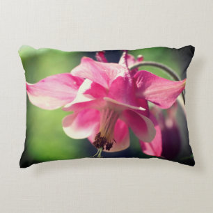 Cojín Decorativo Flor de Columbina rosa acercar