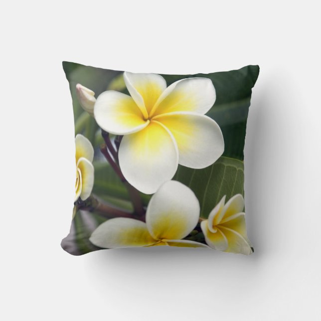 Cojín Decorativo Flor de Frangipani, Islas Cook (Anverso)