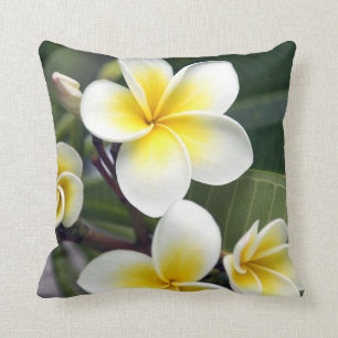 Cojín Decorativo Flor de Frangipani, Islas Cook