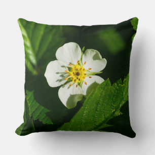 Cojín Decorativo Flor de fresa silvestre