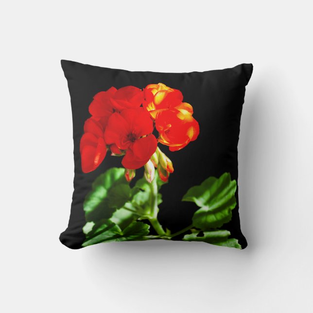 Cojín Decorativo Flor de geranio rojo (Anverso)