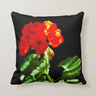 Cojín Decorativo Flor de geranio rojo