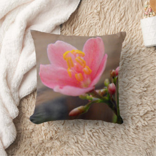 Cojín Decorativo Flor de Jatrofa Rosa Suave