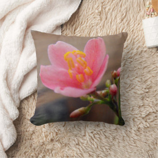 Cojín Decorativo Flor de Jatrofa Rosa Suave