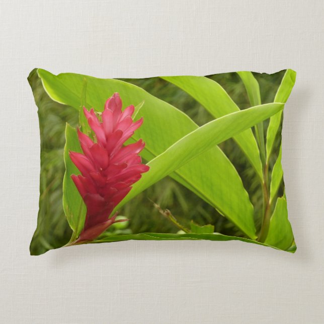 Cojín Decorativo Flor de jengibre rojo (Alpinia) Tropical (Anverso)
