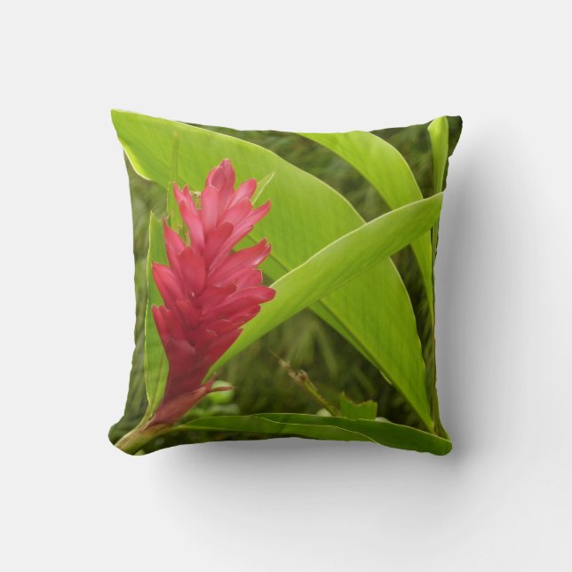 Cojín Decorativo Flor de jengibre rojo (Alpinia) Tropical (Anverso)