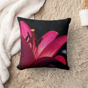 Cojín Decorativo Flor de lirio rojo de cerca