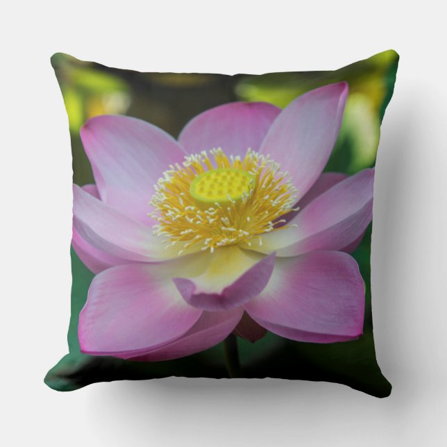 Cojín Decorativo Flor de loto floreciente, Indonesia (Anverso)