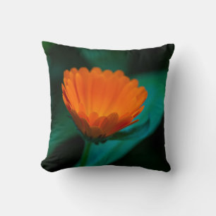 Cojín Decorativo Flor de margarita naranja