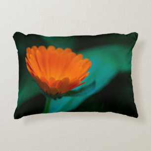 Cojín Decorativo Flor de margarita naranja
