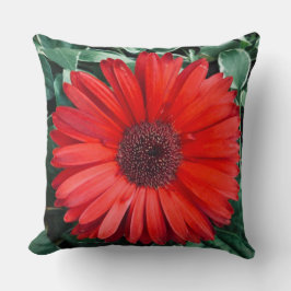 Cojín Decorativo Flor de margarita naranja naturaleza