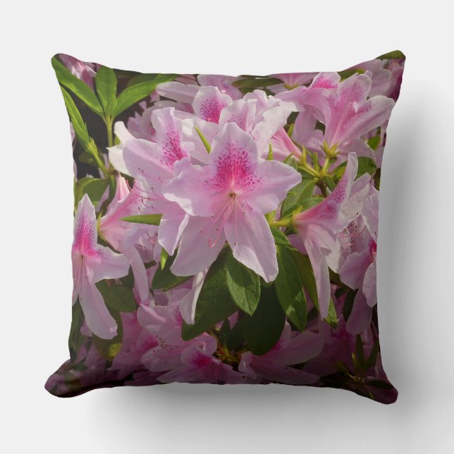 Cojín Decorativo Flor de primavera rosada de Azalea Bush (Anverso)