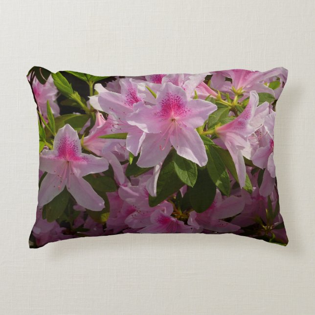 Cojín Decorativo Flor de primavera rosada de Azalea Bush (Anverso)