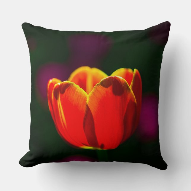 Cojín Decorativo Flor de tulipán rojo (Anverso)