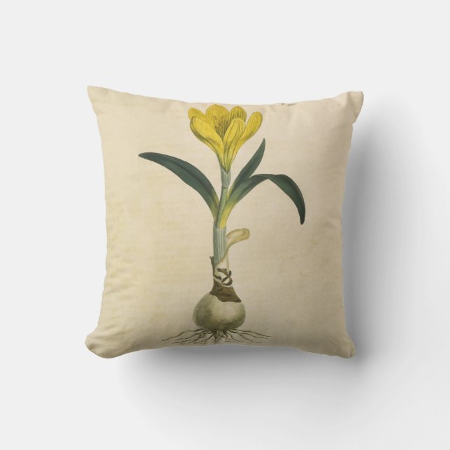 Cojín Decorativo Flor Jardín Botánico Amaryllis Tulip (Anverso)