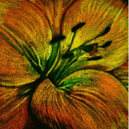 Cojín Decorativo flor naranja amarilla abstracta contemporánea gran