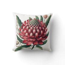 Flor nativa australiana Crimson Red Waratah