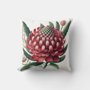 Cojín Decorativo Flor nativa australiana Crimson Red Waratah