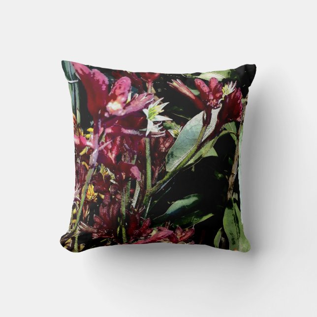 Cojín Decorativo Flor nativa australiana número 6"canguro paw" (Anverso)