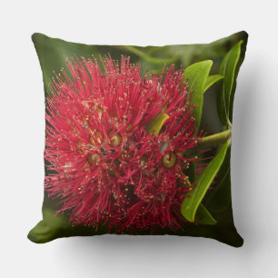 Cojín Decorativo Flor Pohutukawa, Dunedin