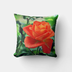 Cojín Decorativo Flor rosa rosa de la naturaleza 46458