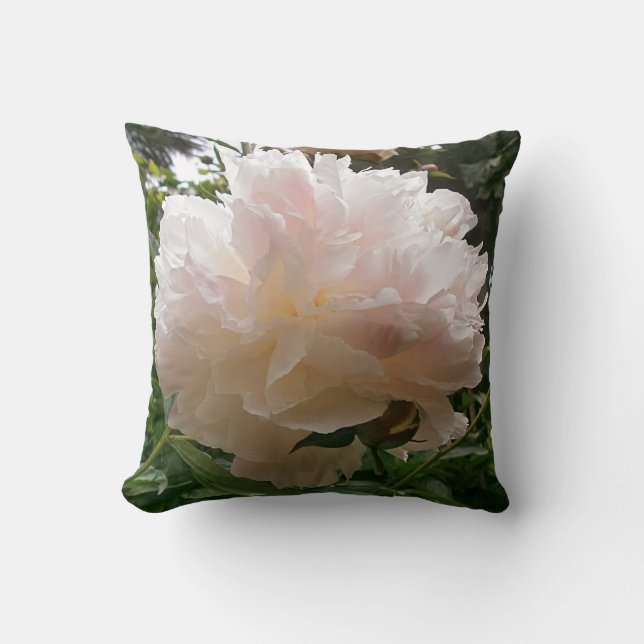 Cojín Decorativo Flor rosado del Peony (Anverso)