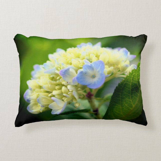 Cojín Decorativo Flor suave azul hidrangea (Anverso)