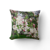 Floración del manzano de la primavera de Europa