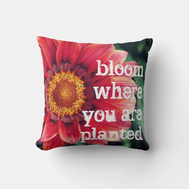 Cojín Decorativo Floración donde le plantan (Anverso)