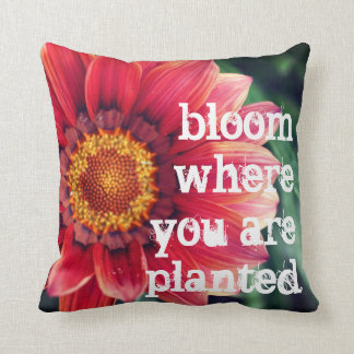 Cojín Decorativo Floración donde le plantan