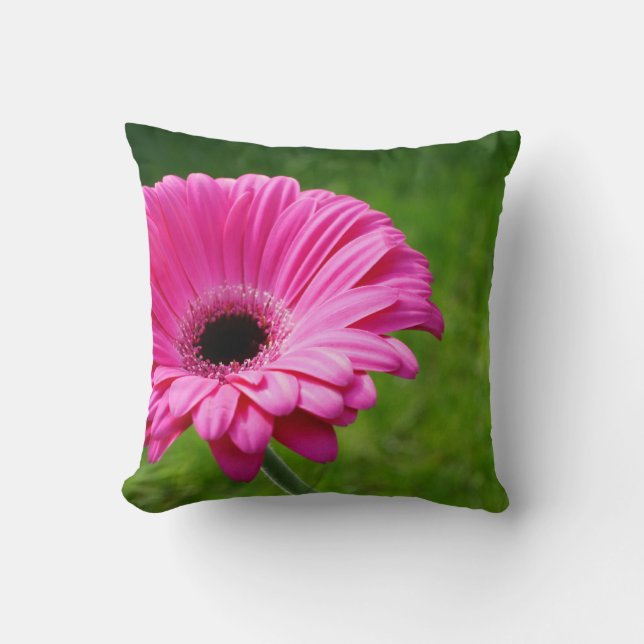Cojín Decorativo Floración fucsia de la margarita del Gerbera (Anverso)