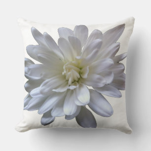 Cojín Decorativo Floral blanca margarita blanca crisantemo blanco f