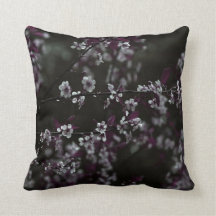 Florecimiento de cerezos en ciruelas oscuras