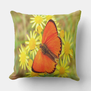 Cojín Decorativo Flores amarillas de mariposa Naranja brillante