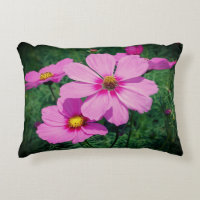 Flores Cosmos rosadas