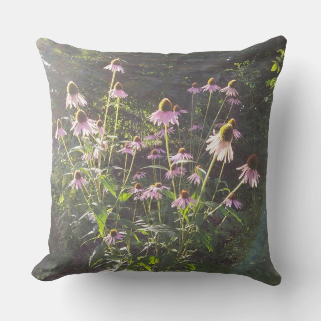 Cojín Decorativo Flores de Echinacea al Sol (Anverso)