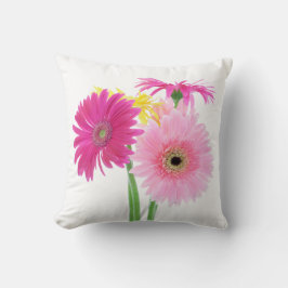 Cojín Decorativo Flores de la margarita del Gerbera