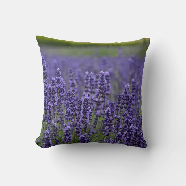 Cojín Decorativo Flores de lavanda púrpura (Anverso)