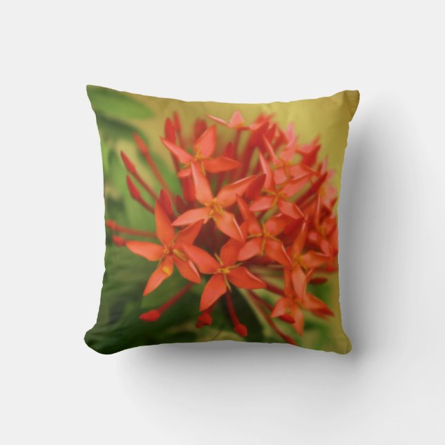 Cojín Decorativo flores de primavera, Pascua, primavera, naturaleza (Anverso)