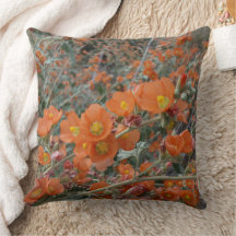 Flores Globales De Desierto naranja En Bloom