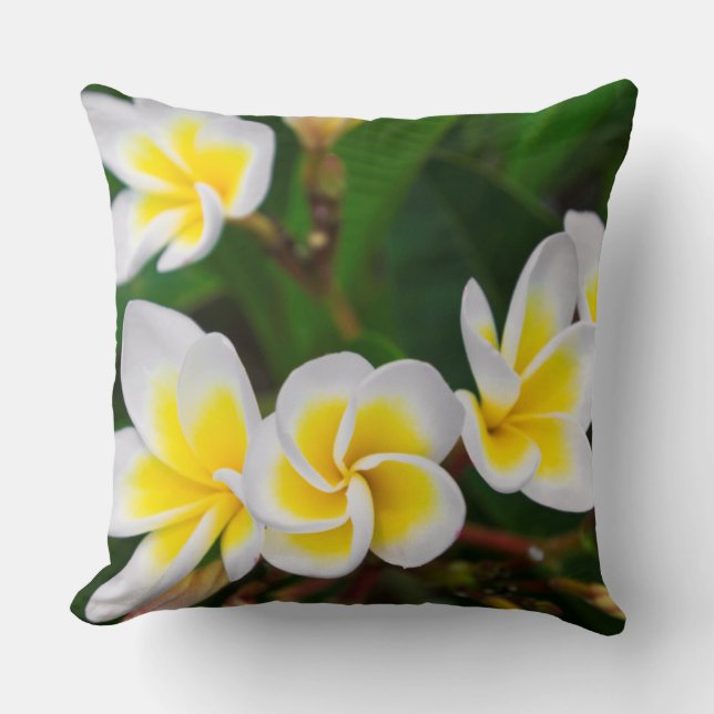 Cojín Decorativo Flores plumerias cerca, Hawaii (Anverso)