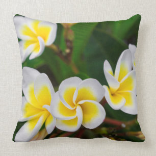 Cojín Decorativo Flores plumerias cerca, Hawaii