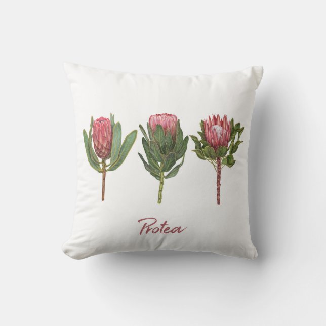 Cojín Decorativo Flores Protea (Anverso)