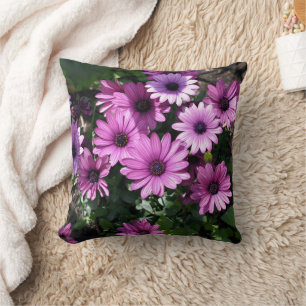 Cojín Decorativo Flores púrpuras de margarita africana 