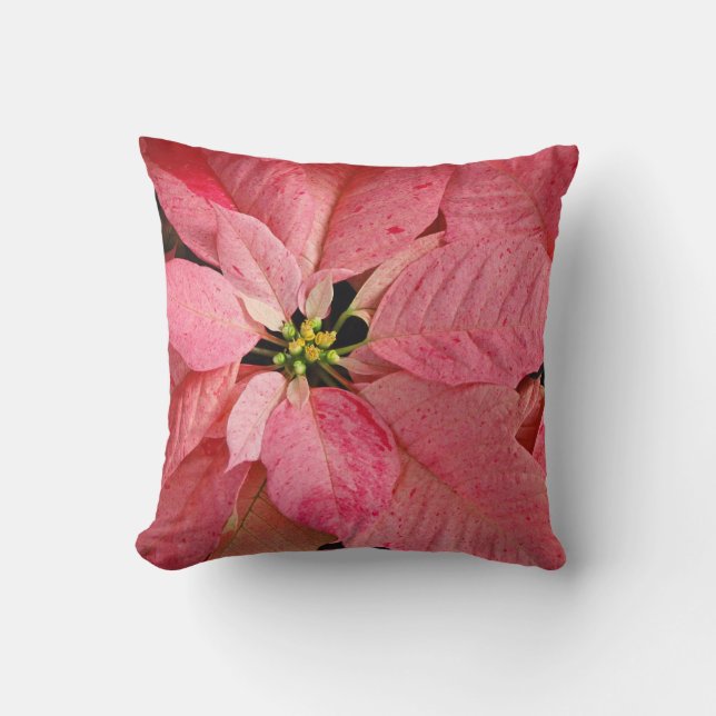 Cojín Decorativo Flores rojas del poinsettia del navidad (Anverso)